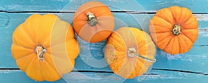 Banner, different sorts of pumpkins in front of blue wooden table