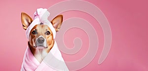 Banner with dog wrapped in bath terry pink towel on pink background with space for text or graphic design. Spa salon for