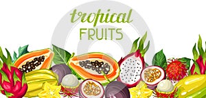 Banner with exotic tropical fruits. Illustration of asian plants