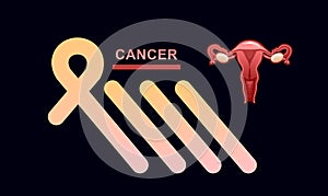 Banner female genital organ uterus