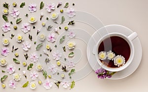 Banner. Flavored herbal tea in a white ceramic cup with a saucer. Floral pattern on a beige background. Flower tea concept. Tea