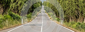 Banner format view of the famous cypress lined road leading to the ancient village of Bolgheri, Italy