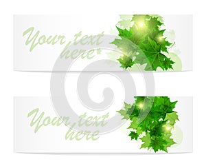 Banner of fresh green leaves of maple. Sunny spring or summer day. Awakening of nature. Cover or background for an article