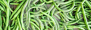 Banner, fresh raw Phaseolus vulgaris, green bush beans, topview