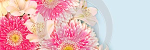 Banner with gerbera and alstroemeria flowers on a blue background.