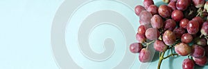 Banner grapes, blue background, berries, fresh fruit photo