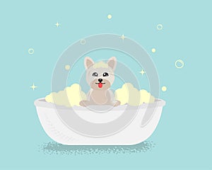 Banner group of cute dog with bubble in flat vector style. pet care illustration for content, label, banner, graphic and