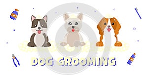 Banner group of cute dog and friend with bubble in flat vector style. pet care illustration for content, label, banner