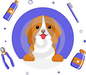Banner group of cute dog tools and supplies in flat vector style. pet care illustration for content, label, banner