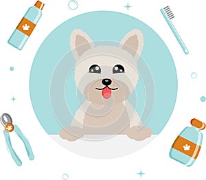 Banner group of cute dog tools and supplies in flat vector style. pet care illustration for content, label, banner