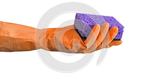 Banner hand in rubber glove hold sponge, kitchen cleaning concept, isolated on a white background photo
