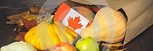 Banner. Happy Thanksgiving Day in Canada. Vegetables, pumpkins, squash, apples, maple and oak leaves, acorns on a wooden backgroun