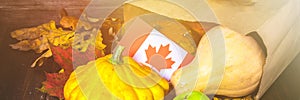 Banner. Happy Thanksgiving Day in Canada. Vegetables, pumpkins, squash, apples, maple and oak leaves, acorns on a wooden backgroun