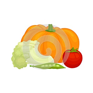 Banner that harvest theme. Vector composition of vegetables