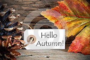 Banner with Hello Autumn