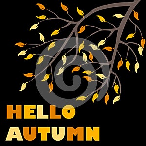 Banner hello autumn