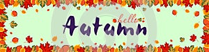 Banner hello autumn. Bright orange leaves around the area with text