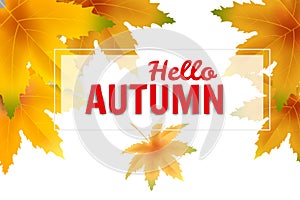 Banner Hello Autumn falling leaves template background. Yellow and brown colorful foliage. Banners, flyers