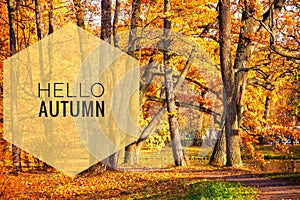 Banner hello autumn. New month. Greeting card. Golden autumn. Autumn in the park. The text in the photo. Trees in the autumn park