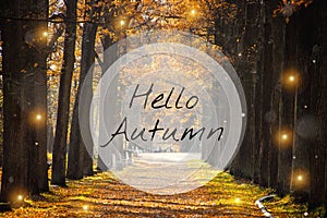 Banner hello autumn. New month. Greeting card. Golden autumn. Autumn in the park. The text in the photo. Trees in the autumn park