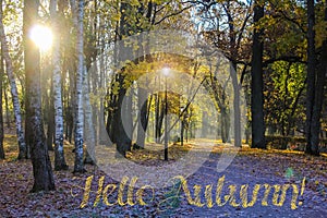 Banner hello autumn. New month. Greeting card. Golden autumn. Autumn in the park. The text in the photo. Trees in the autumn park