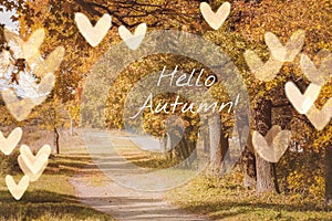 Banner hello autumn. New month. Greeting card. Golden autumn. Autumn in the park. The text in the photo. Trees in the autumn park