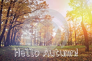 Banner hello autumn. New month. Greeting card. Golden autumn. Autumn in the park. The text in the photo. Trees in the autumn park