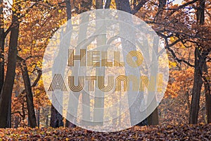 Banner hello autumn. New month. Greeting card. Golden autumn. Autumn in the park. The text in the photo. Trees in the autumn park