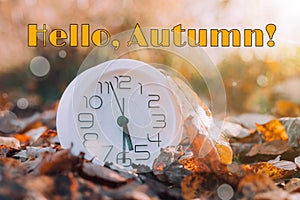 Banner hello autumn . A new season. Welcome card. September October November. Watch. It& x27;s autumn time. Autumn leaves