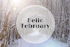 Banner hello February . Winter landscape . Snow and snow trees. Nature. Snow picture. Photo with text. The new month