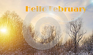 Banner hello February . Winter landscape . Snow and snow trees. Nature. Snow picture. Photo with text. The new month photo