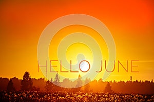 Banner hello june. Text on the photo. Text hello June. New month. New season. Summer month. Text on sunset photo