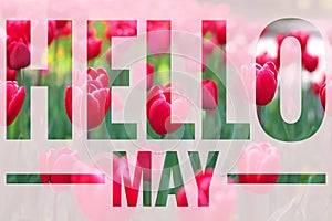 Banner hello may. Welcome picture. New month. Warm month. the month of May. Spring month