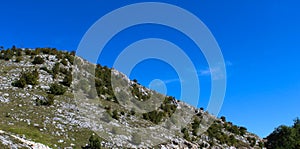 Banner from the hill where there are a lot of stones, with parts where there is grass and where there are bushes all over the hill