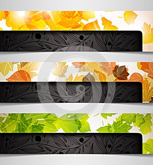 Banner hybrid autumn leaf combination abstract ba