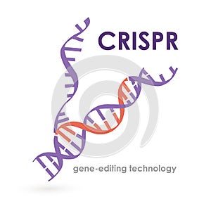 Banner inscription crispr gene-editing technology.