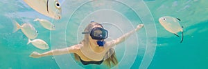 BANNER, LONG FORMAT Happy woman in snorkeling mask dive underwater with tropical fishes in coral reef sea pool. Travel