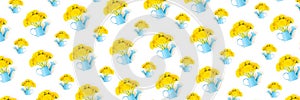 Banner made with bouquet of yellow dandelions flowers in blue watering can isolated on white background. Top view
