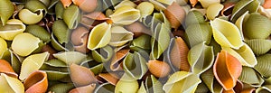 Banner with mix of pasta shells Conchiglie Rigate of three colors: yellow, green and red with the addition of spinach and tomatoes