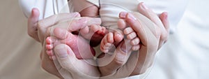 Banner. Mom hands hold small legs of their two newborn twin babies