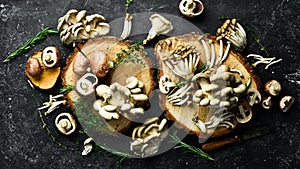 Banner with mushrooms. Mushroom set: Maitake Mushrooms, Brown beech mushroom, and champignons.