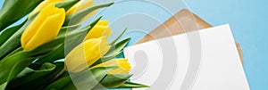 Banner with paper letter envelope postcard, yellow tulips. Copy space