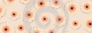 Banner with pattern made of gerbera flowers.