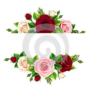 Banner with pink, burgundy and white roses flowers. Vector illustration.