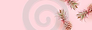 Banner with pink pineapples