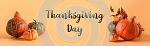 Banner of pumpkins on orange background with text - Thanksgiving day