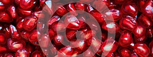 Banner of red Background of Grain Red Grenades. Big Ripe Red Granets or Garnets. Fruits of Red Ripe Pomegranate. Vegetarian