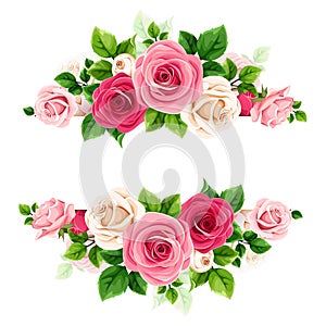 Banner with red, pink, and white roses. Vector illustration