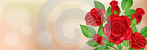 Banner with red rose and leaf