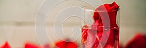 Banner Rose petals in a bowl of water photo